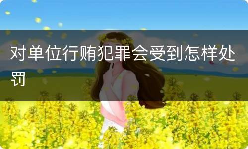 对单位行贿犯罪会受到怎样处罚