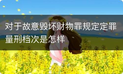 对于故意毁坏财物罪规定定罪量刑档次是怎样