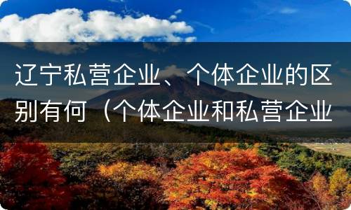 辽宁私营企业、个体企业的区别有何（个体企业和私营企业的区别）
