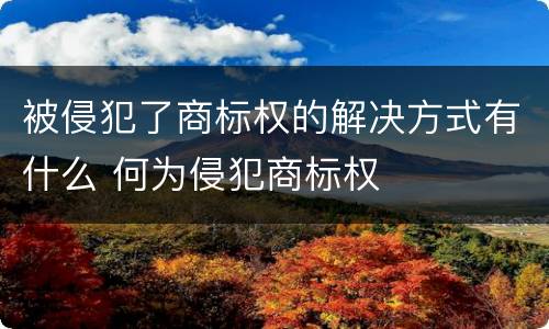 被侵犯了商标权的解决方式有什么 何为侵犯商标权