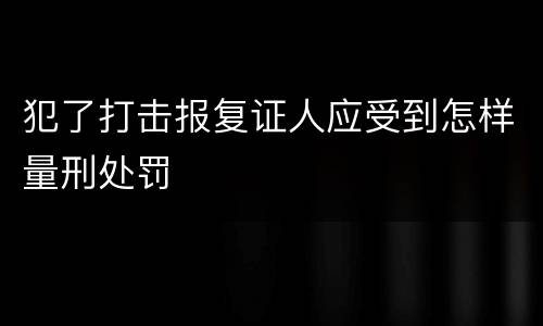 犯了打击报复证人应受到怎样量刑处罚