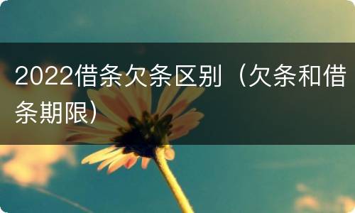 2022借条欠条区别（欠条和借条期限）