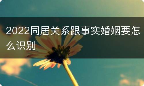 2022同居关系跟事实婚姻要怎么识别