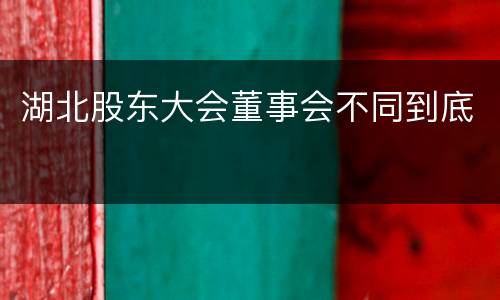 湖北股东大会董事会不同到底