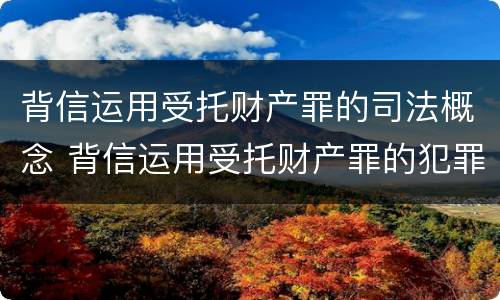 背信运用受托财产罪的司法概念 背信运用受托财产罪的犯罪主体包括