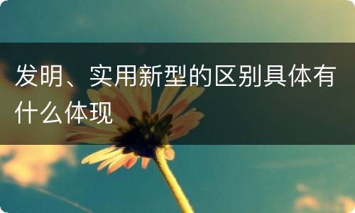 发明、实用新型的区别具体有什么体现