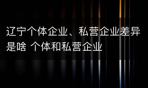 辽宁个体企业、私营企业差异是啥 个体和私营企业