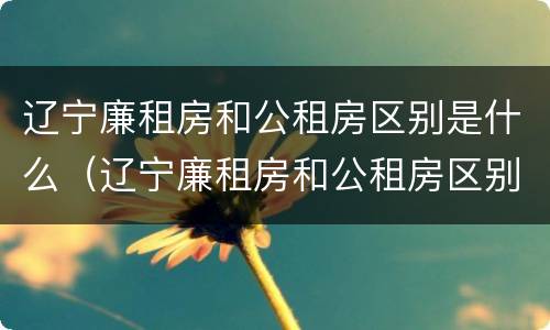 辽宁廉租房和公租房区别是什么（辽宁廉租房和公租房区别是什么意思）