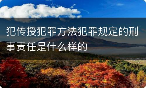 犯传授犯罪方法犯罪规定的刑事责任是什么样的