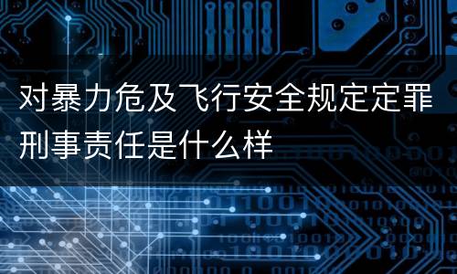 对暴力危及飞行安全规定定罪刑事责任是什么样