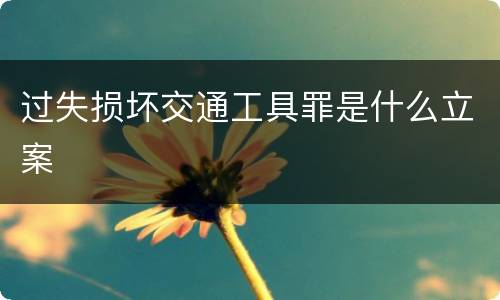 过失损坏交通工具罪是什么立案