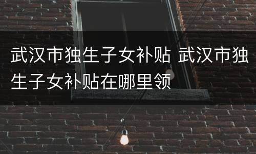 武汉市独生子女补贴 武汉市独生子女补贴在哪里领