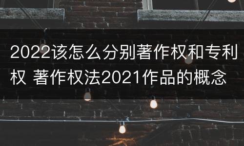 2022该怎么分别著作权和专利权 著作权法2021作品的概念