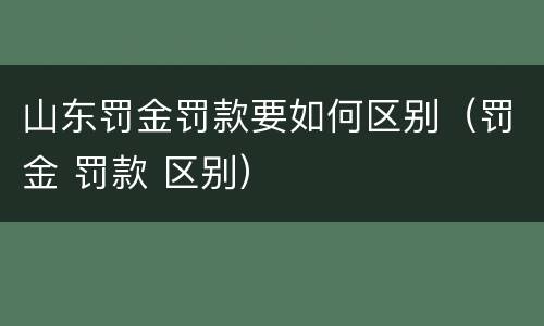 山东罚金罚款要如何区别（罚金 罚款 区别）