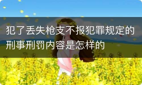 犯了丢失枪支不报犯罪规定的刑事刑罚内容是怎样的