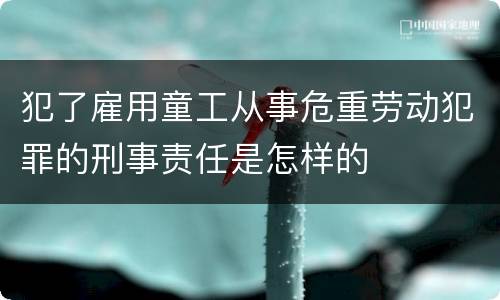 犯了雇用童工从事危重劳动犯罪的刑事责任是怎样的