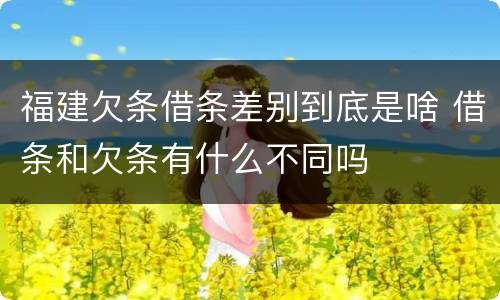 福建欠条借条差别到底是啥 借条和欠条有什么不同吗