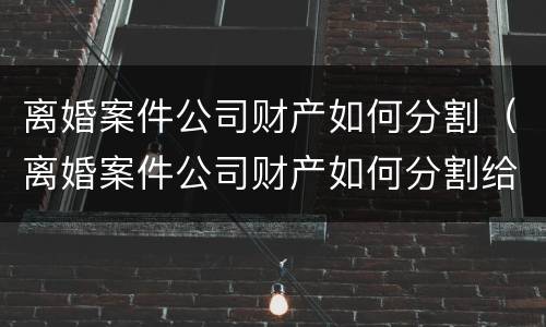 离婚案件公司财产如何分割（离婚案件公司财产如何分割给个人）