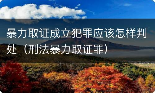 暴力取证成立犯罪应该怎样判处（刑法暴力取证罪）