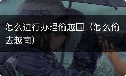 怎么进行办理偷越国（怎么偷去越南）