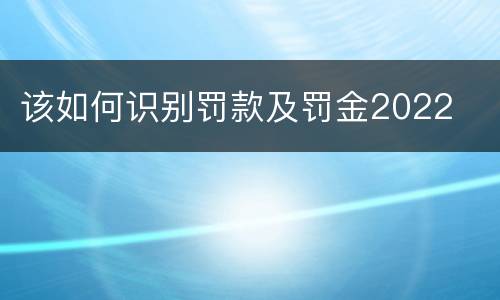 该如何识别罚款及罚金2022