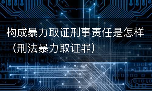构成暴力取证刑事责任是怎样（刑法暴力取证罪）