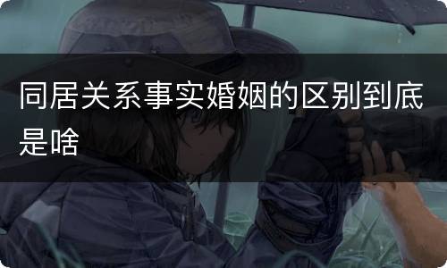 同居关系事实婚姻的区别到底是啥