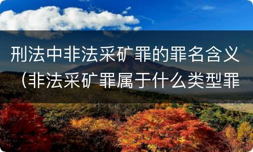 刑法中非法采矿罪的罪名含义（非法采矿罪属于什么类型罪）