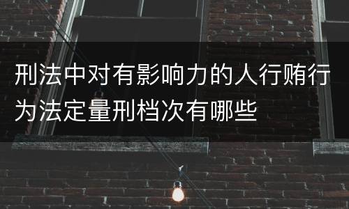 刑法中对有影响力的人行贿行为法定量刑档次有哪些