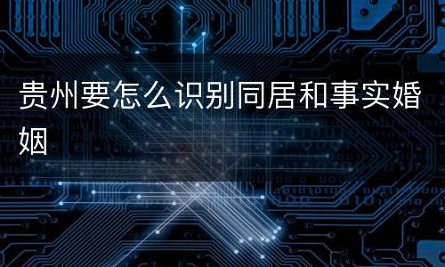 贵州要怎么识别同居和事实婚姻