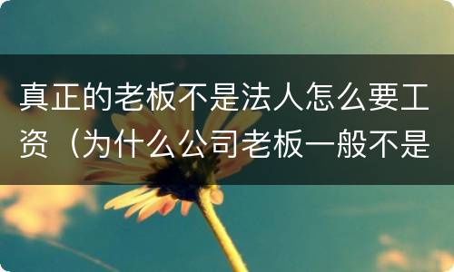 真正的老板不是法人怎么要工资（为什么公司老板一般不是法人）