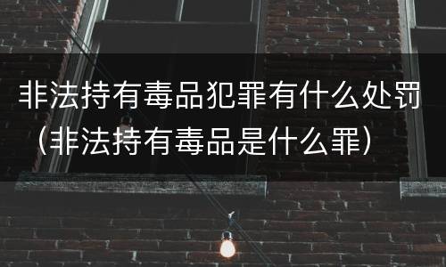 非法持有毒品犯罪有什么处罚（非法持有毒品是什么罪）