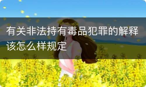 有关非法持有毒品犯罪的解释该怎么样规定