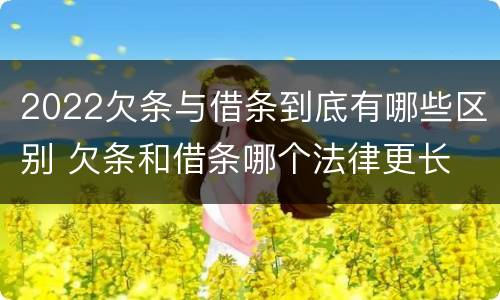 2022欠条与借条到底有哪些区别 欠条和借条哪个法律更长