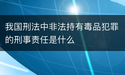 我国刑法中非法持有毒品犯罪的刑事责任是什么