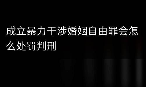 成立暴力干涉婚姻自由罪会怎么处罚判刑