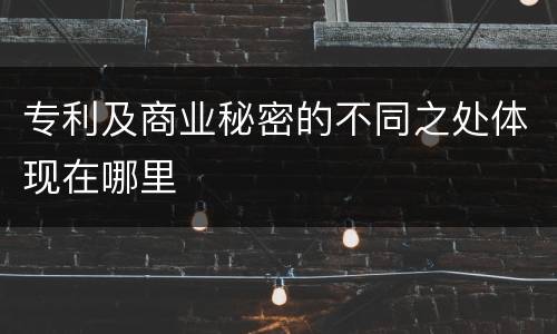专利及商业秘密的不同之处体现在哪里
