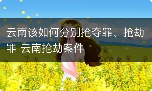 云南该如何分别抢夺罪、抢劫罪 云南抢劫案件