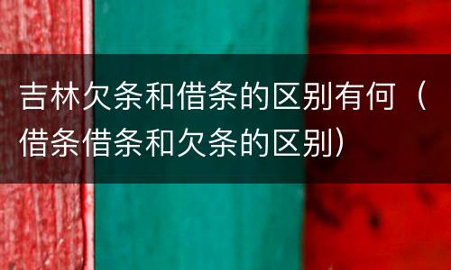 吉林欠条和借条的区别有何（借条借条和欠条的区别）