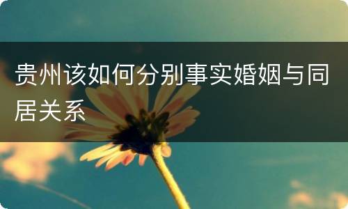 贵州该如何分别事实婚姻与同居关系