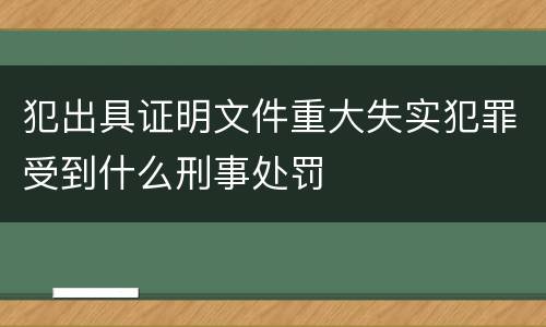 犯出具证明文件重大失实犯罪受到什么刑事处罚