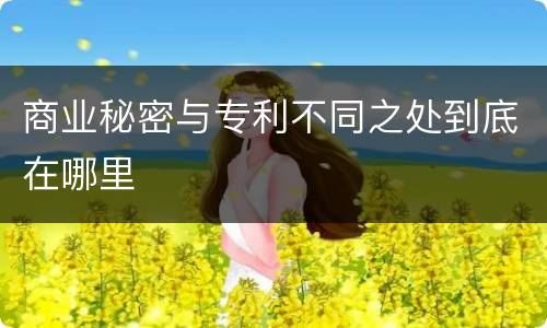 商业秘密与专利不同之处到底在哪里