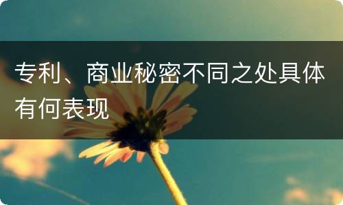 专利、商业秘密不同之处具体有何表现
