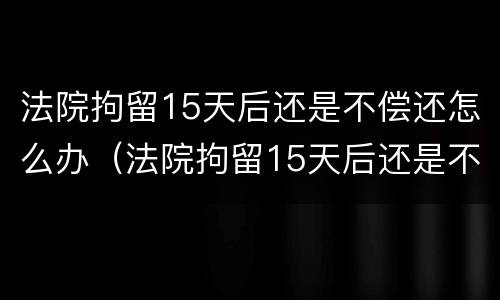 法院拘留15天后还是不偿还怎么办（法院拘留15天后还是不偿还怎么办呢）