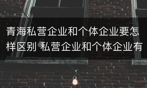 青海私营企业和个体企业要怎样区别 私营企业和个体企业有什么区别