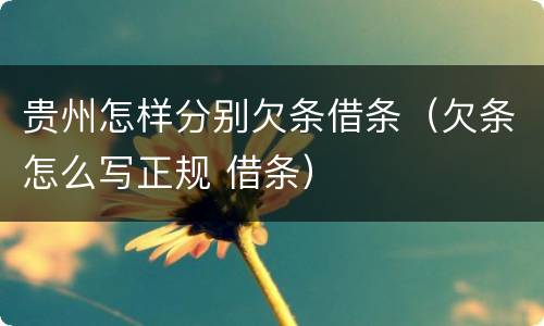 贵州怎样分别欠条借条（欠条怎么写正规 借条）