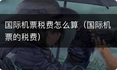 国际机票税费怎么算（国际机票的税费）