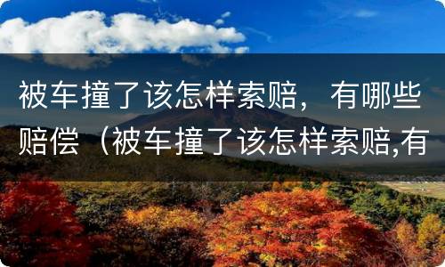 被车撞了该怎样索赔，有哪些赔偿（被车撞了该怎样索赔,有哪些赔偿项目）