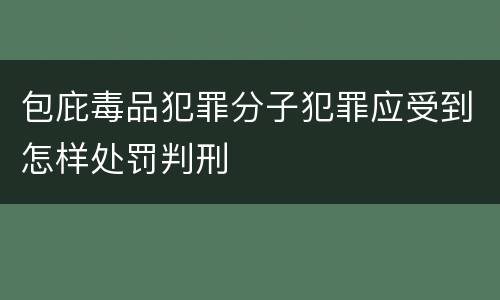 包庇毒品犯罪分子犯罪应受到怎样处罚判刑