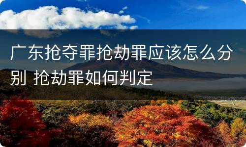 广东抢夺罪抢劫罪应该怎么分别 抢劫罪如何判定